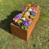 Plantenbed 150x60 Cortenstaal - Plantenbak - Raised-Bed - Afbeelding 2